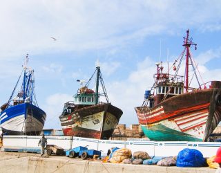 Kleurrijke vissersboten Essaouira Marokko