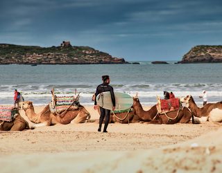 Surfen tussen de kamelen in Essaouira