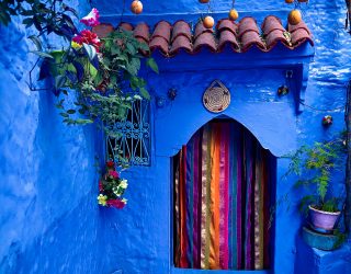 Sinaasappelboom in blauwe stad Chefchaouen