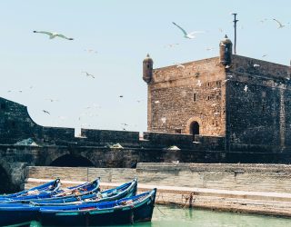 Vissersboten met meeuwen in Essaouira