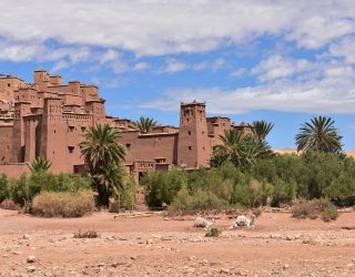 Kamelen bij Ait Ben Haddou in Marokko