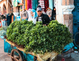 Munt op de markt in Essaouira Marokko