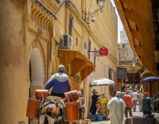 Ezel in kleurrijke steegjes van medina in Fez Marokko