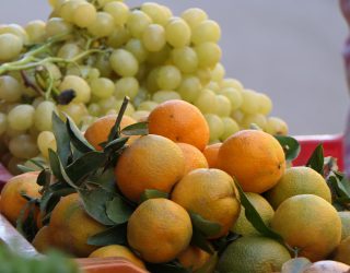 Vers fruit op de markt.