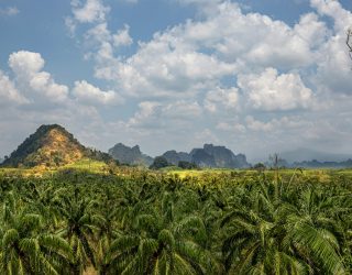 Natuur Ao Nang