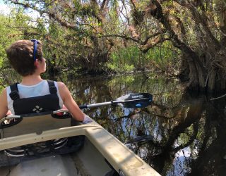 Jongen in de Kano tussen de alligators